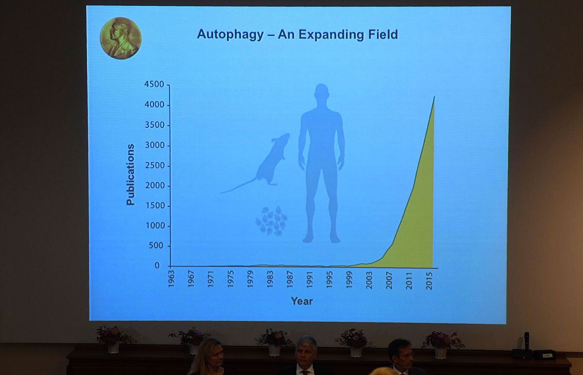 为什么细胞生物学中用'信号转导'而非'信号传导'？