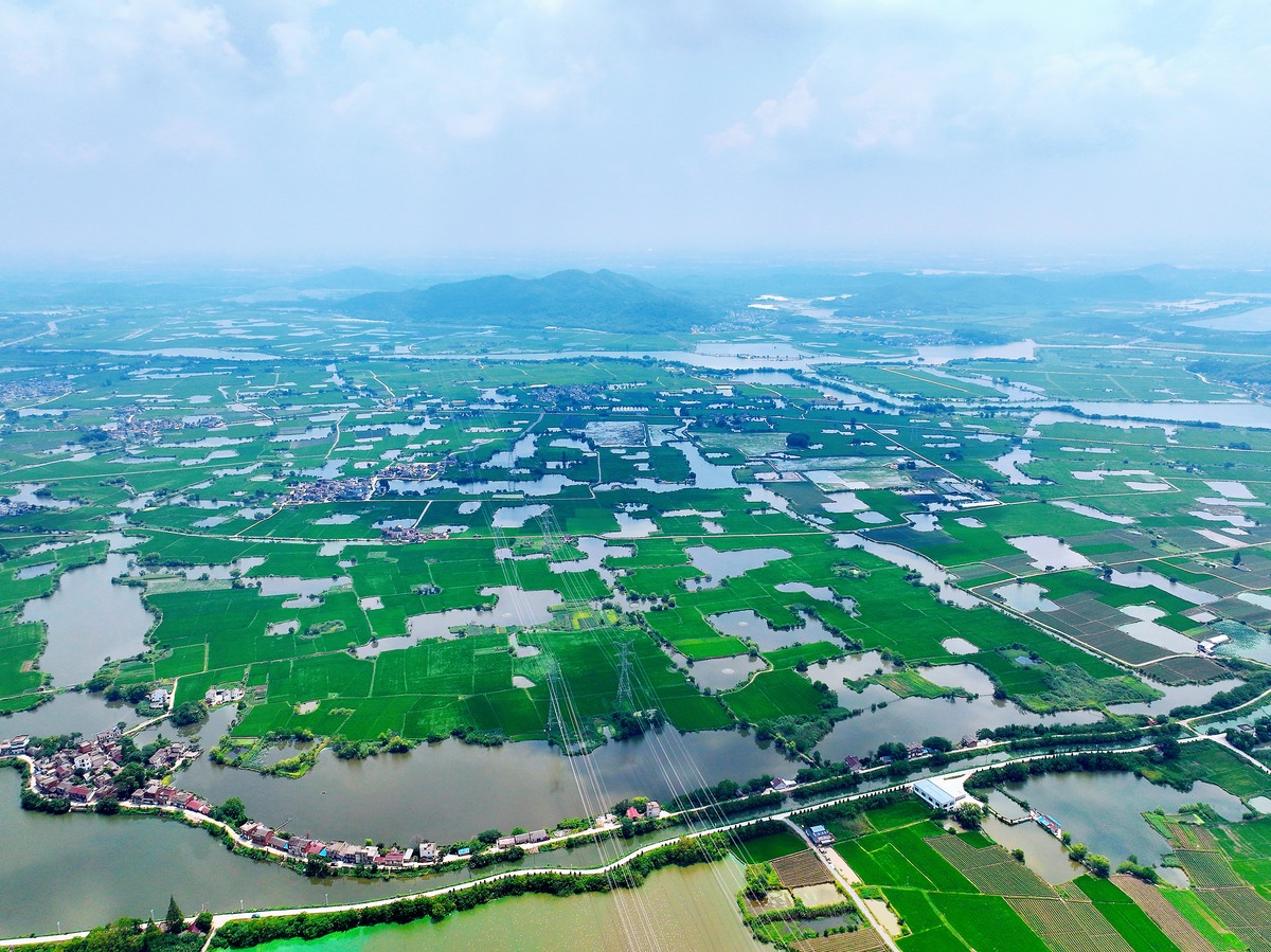 改写下面这段话：这里一幅自然天成的水墨画在清风中徐徐地向你地展开她无私的怀抱。这里有三峡水乡田园枝江的美称四月的枝江金湖湿地烟雨朦胧不但会放飞你的愁绪更会温润你的心灵！枝江历史悠久周称丹阳属楚秦因蜀江至此如乔木分枝而得名西汉元年始设县治。长江的分支口在此分支你会感受浩浩长江此时的婉约与温柔。金湖湿地688公顷湿地率为93以上。湖泊湿地、河流湿地、沼泽湿地、人工湿地构成奇妙水乡梦里老家一地乡愁水滴形