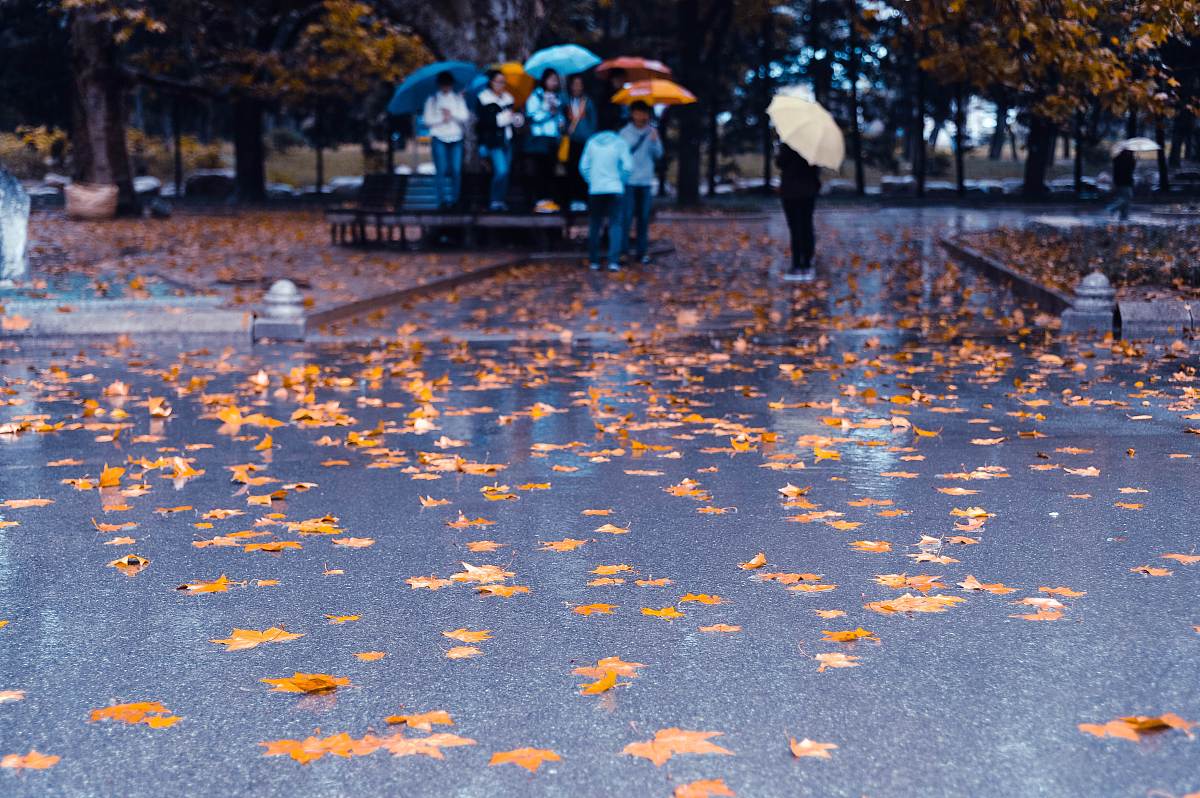 中秋遇雨国庆迎秋凉，网友：期待晴空万里赏明月