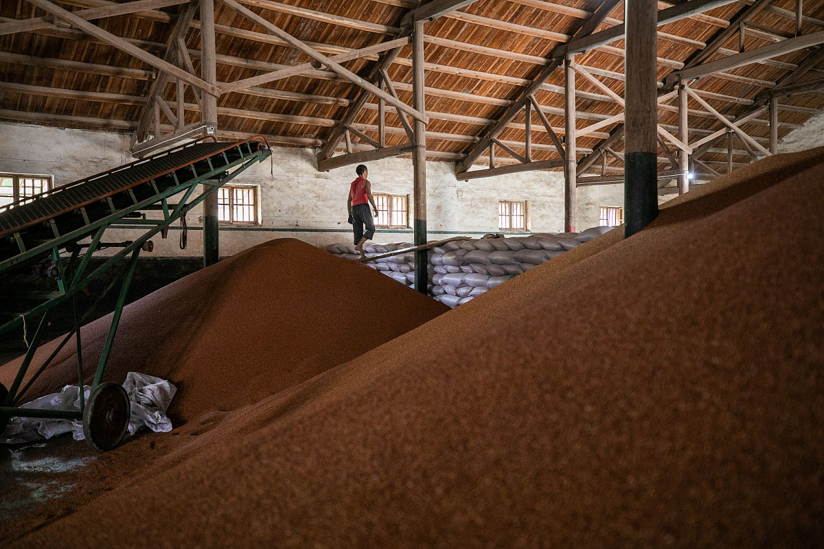 金沙县中等职业学校2021年招生专业 - 你的职业梦想起航之地