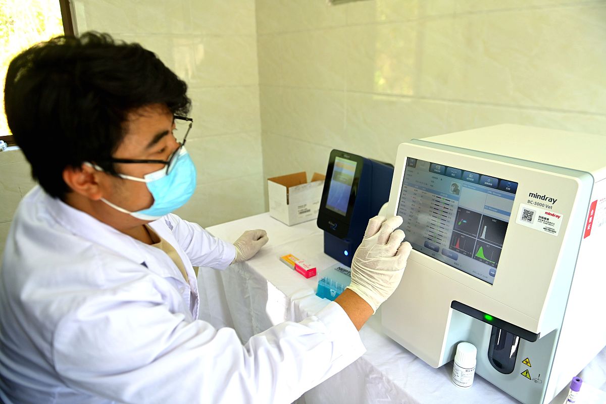 山东畜牧兽医职业学院电子商务专业就业前景如何
