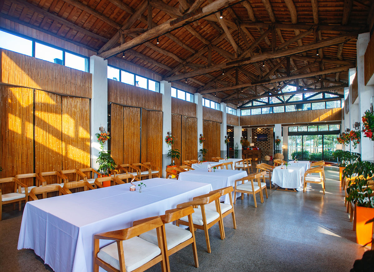 西安研学路线规划：历史文化、自然科技，全方位体验古都魅力