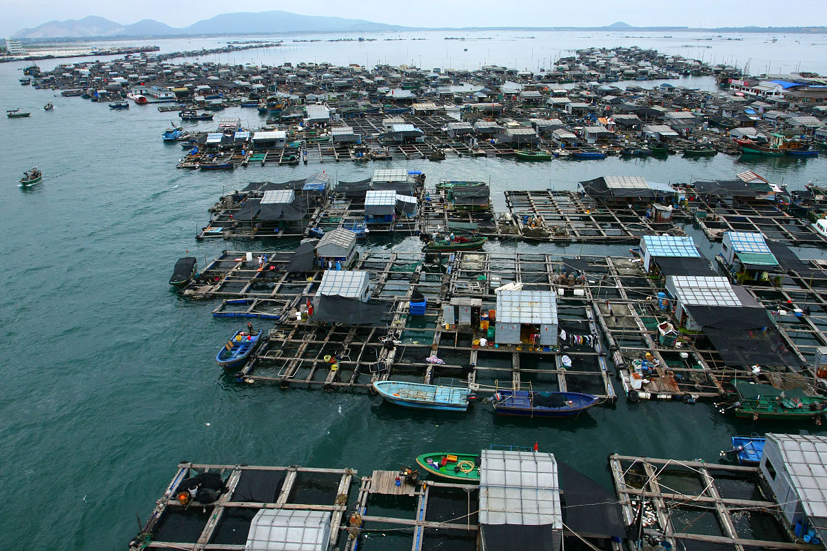 2010年3月3日,海南陵水,新村渔港码头.
