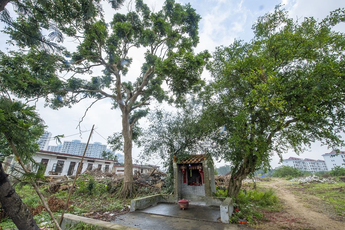 请用以下题材写一篇岳阳楼记一样文体的文章： 三帝殿记 分宁古邑修水新村接湘引赣朝霞暮彩吕仙黄龙斗武庭坚陈儒修文。属地叶源隶辖高乡上沐紫云下濯清涟人文鼎盛黎庶淳朴侣物友民尊神重诲。致意莫如朝圣虔诚达于礼神。里有灵社名舒家桥坛庙之设无古于斯。主神三帝交释结道福民佑人生生亡亡香烛缭绕。然其制简败赤石垒叠年深日久其文漫灭虽作古之人被泽于神然遗老故贤仰首欷歔。于是启请阖村众蕃公谋高造众善欣从。尊地仙择吉延