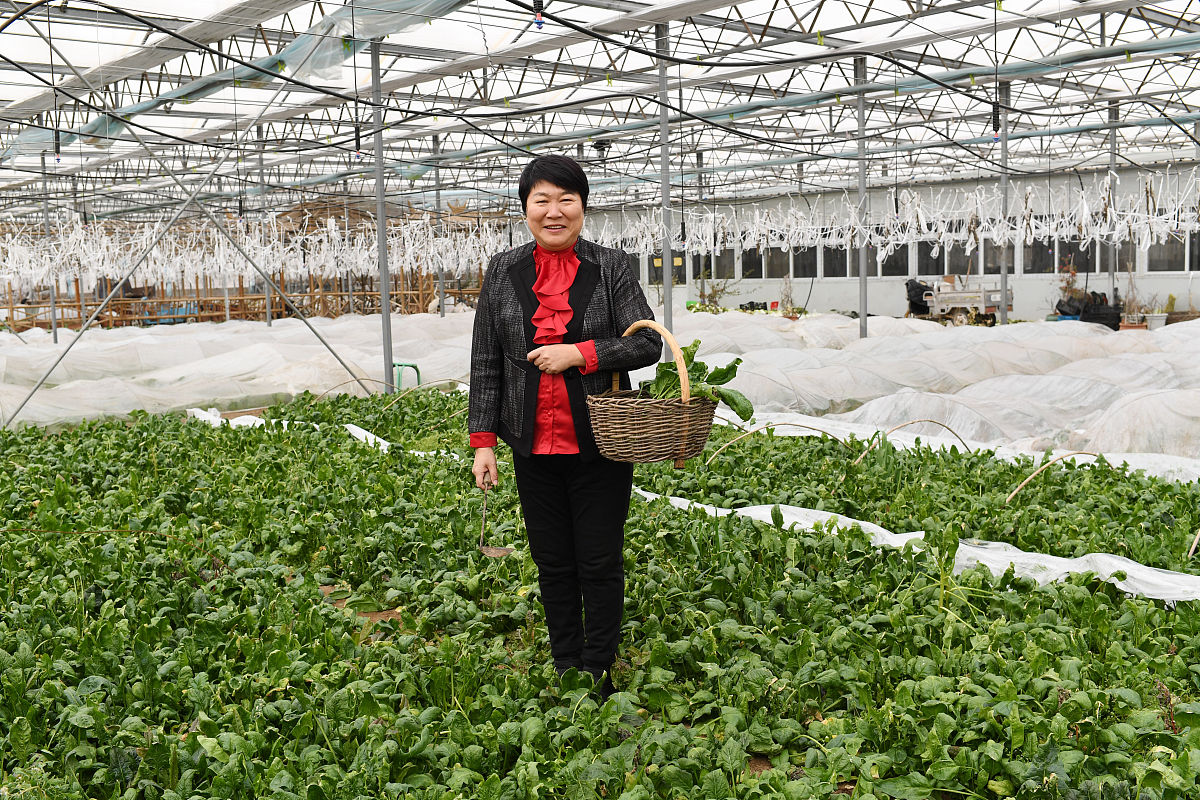 某企业研发人员小张正在开发一款新的手机产品但是却不知道哪些可以申请专利他去寻求公司里专利工程师小李的帮助小李的做法错误的是A小李建议将该手机涉及到的所有创新点写到一件专利里以节省专利申请的费用和时间B关于挖掘创新点可以从技术问题出发或者从项目出发C若该款手机的创新点有滑屏解锁方面有屏幕防刮擦方面有操作系统方面则可针对不同的方面布局做多个专利D小李告诉小张不能等产品做出来再申请专利专利应先于产品布局