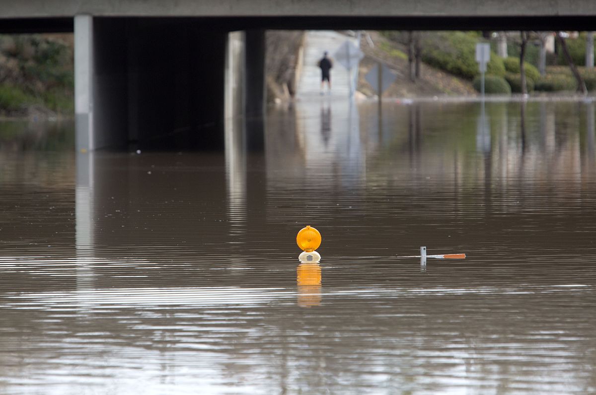 女王区117A号 用西语怎么说