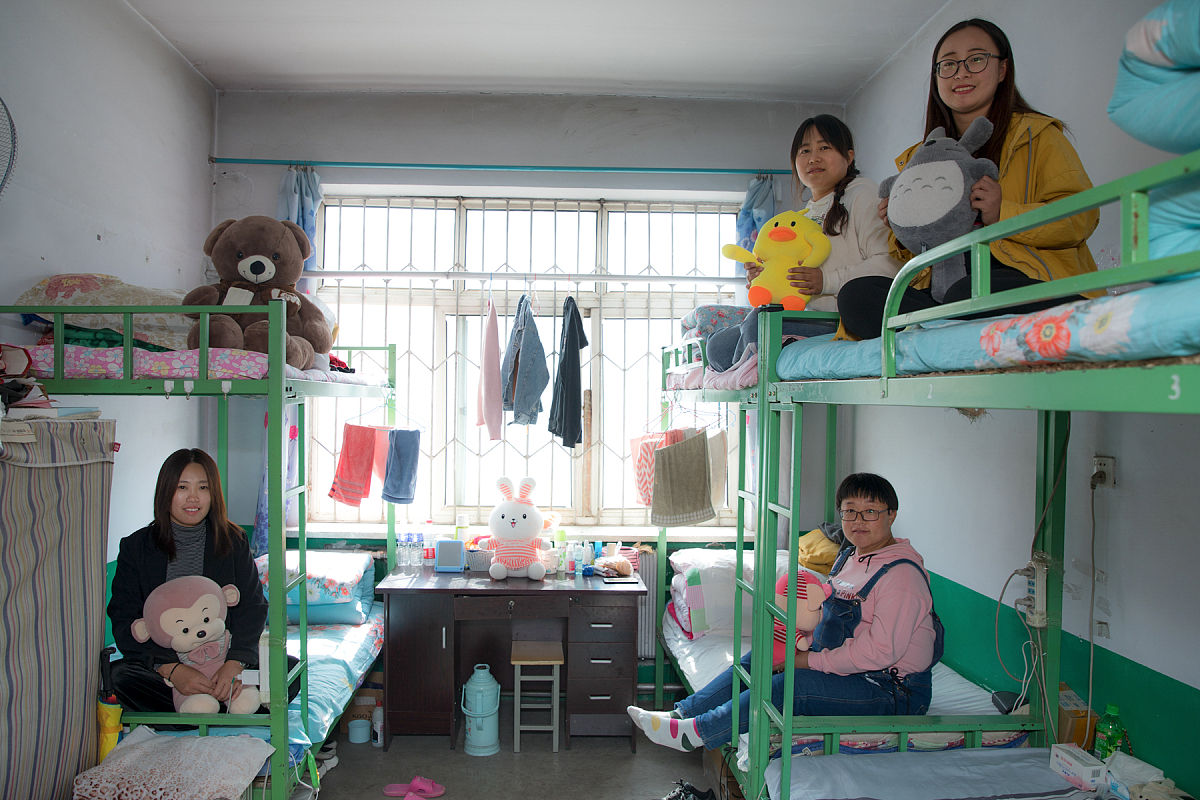 学习心得：自由、快乐、养老，三者相辅相成