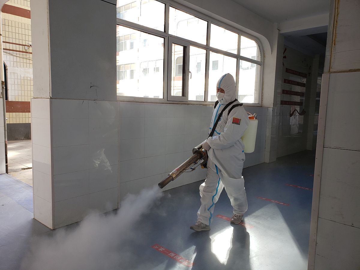 什么是真正的友谊？ - 小学作文