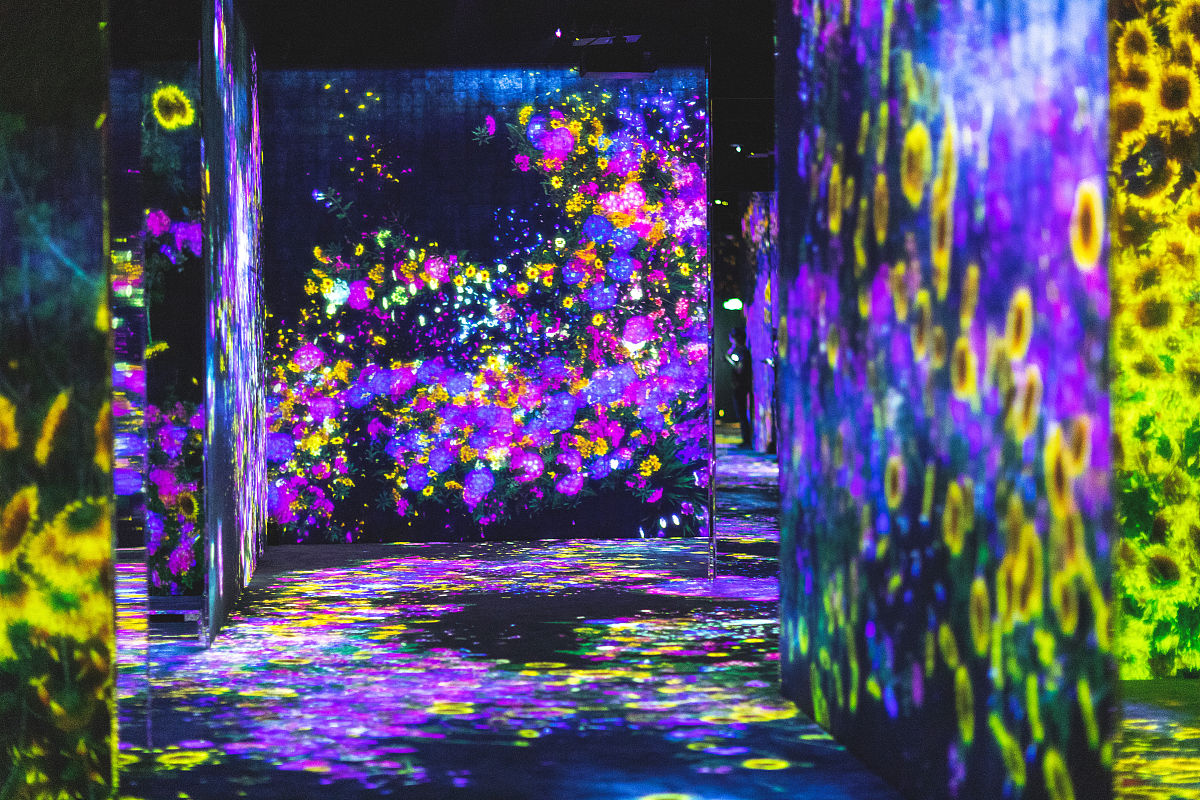 一位作家请以阳光如初为题写一篇作文