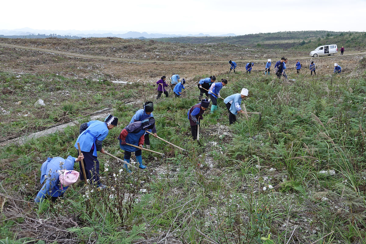 玉屏侗族自治县中等职业学校2019年招生简章