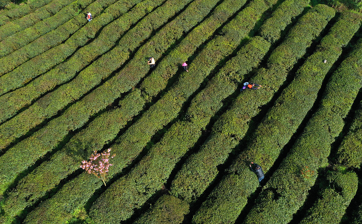 贵阳高中毕业生中专学校推荐：2022年入学指南