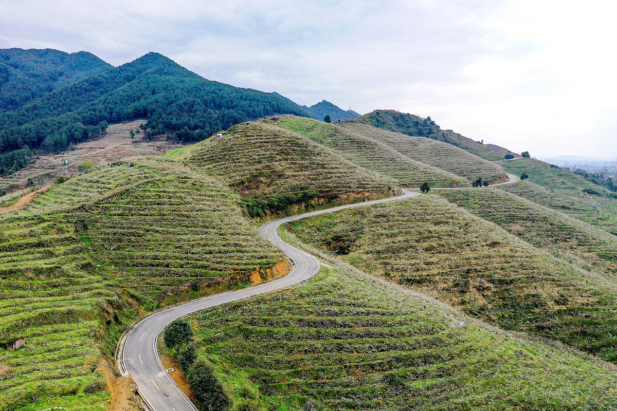 广安技师学院2021年招生专业 - 涵盖机械、电气、计算机等多个领域