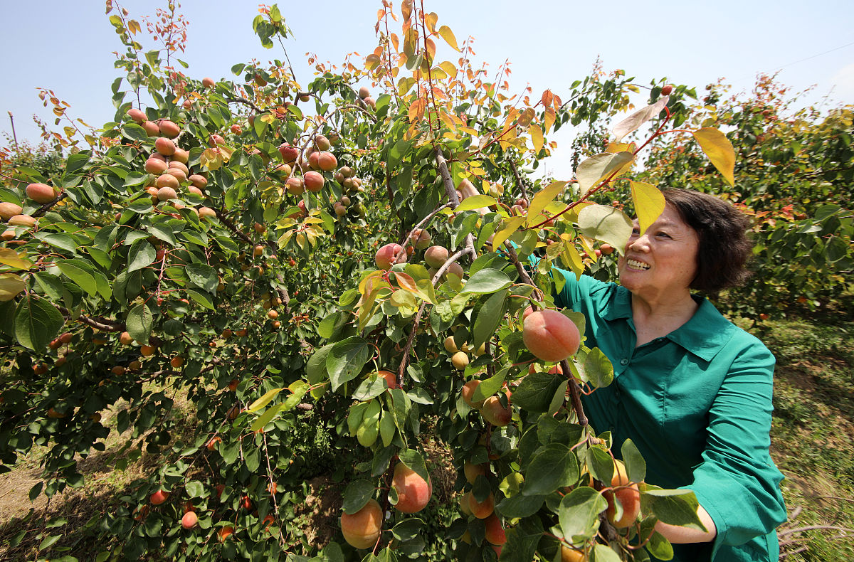 山东机电学校2021年招生条件是什么