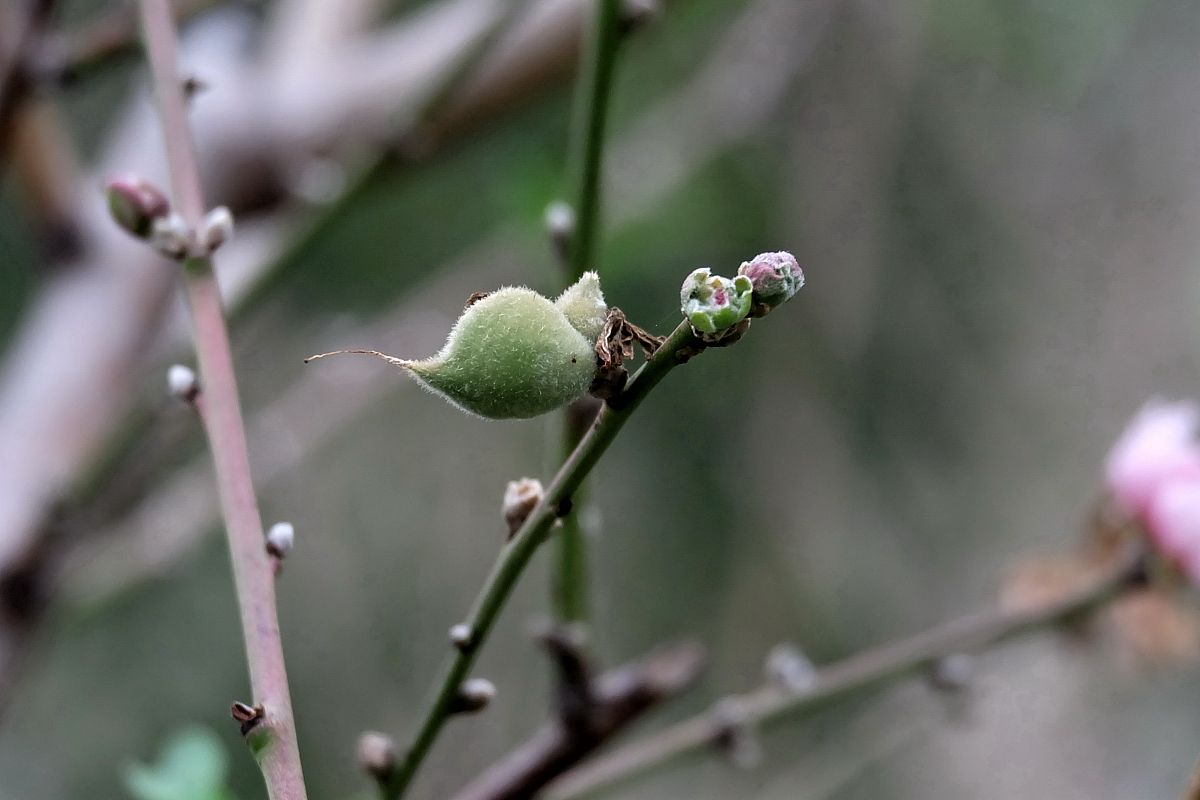 湖南科技职业学院药学专业如何好学吗