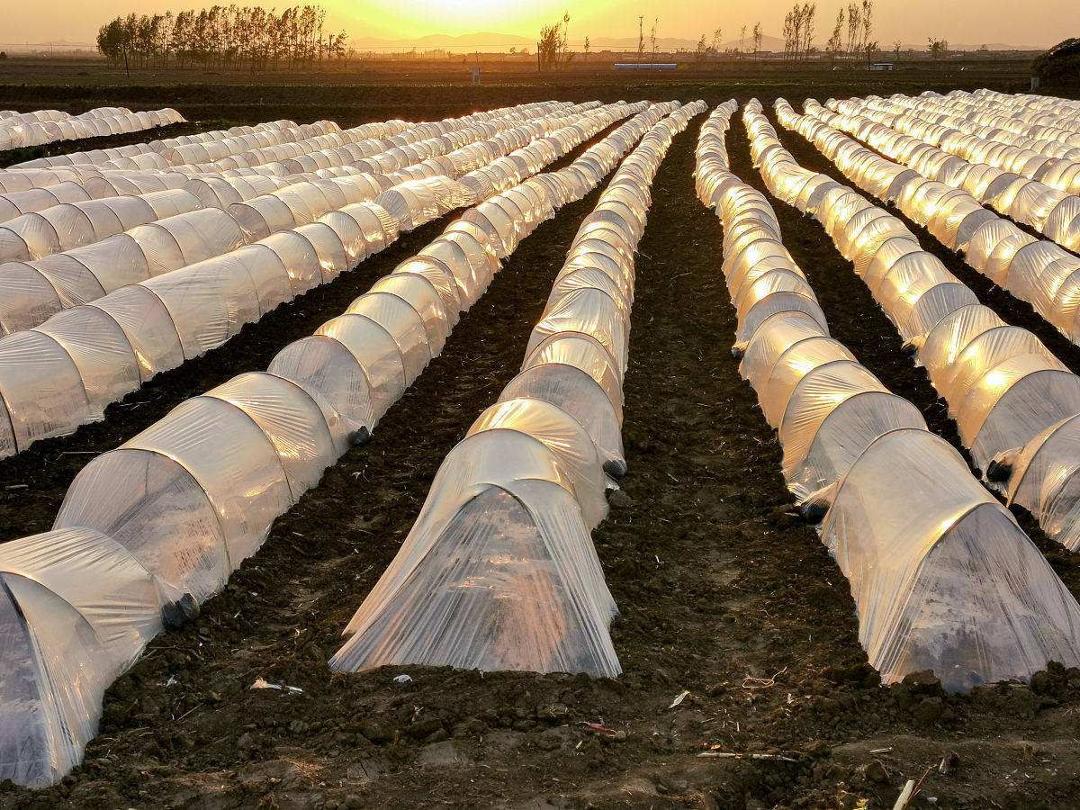 中国传统塑料地膜龙头企业盘点