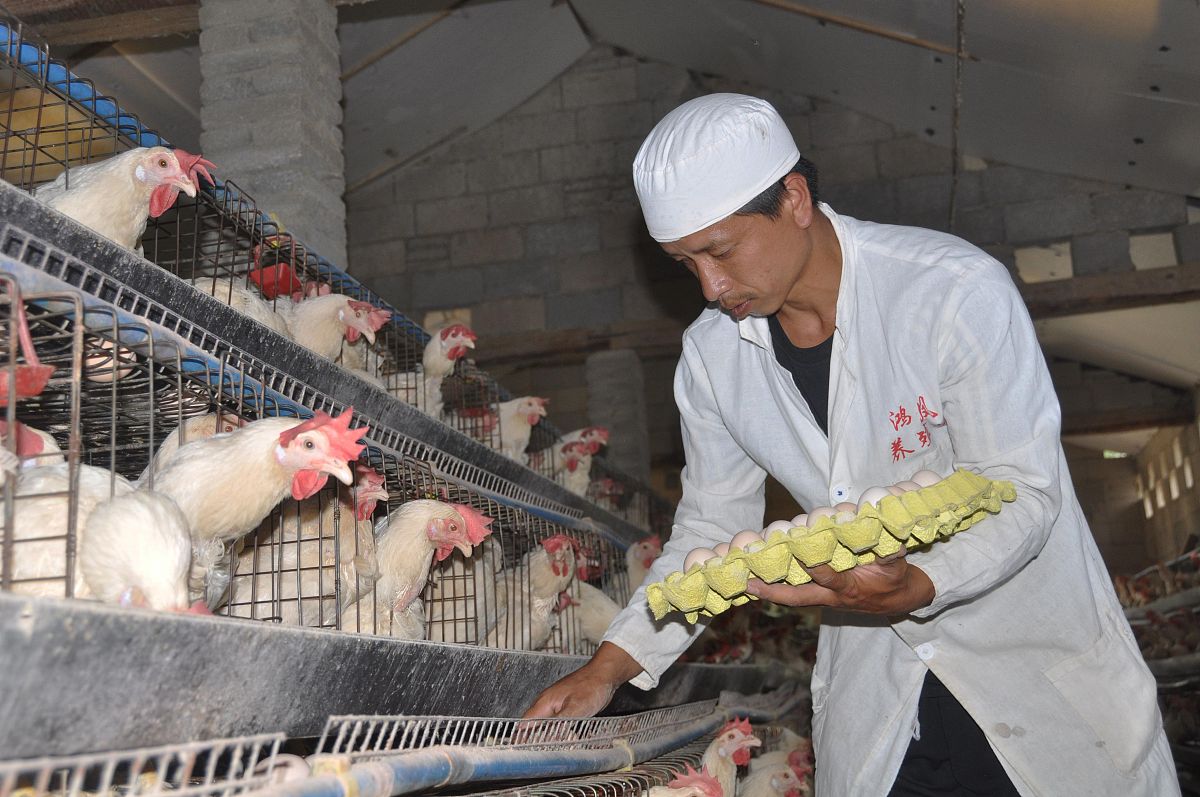 贵州中专学校就业前景分析：哪些学校毕业生更受欢迎？