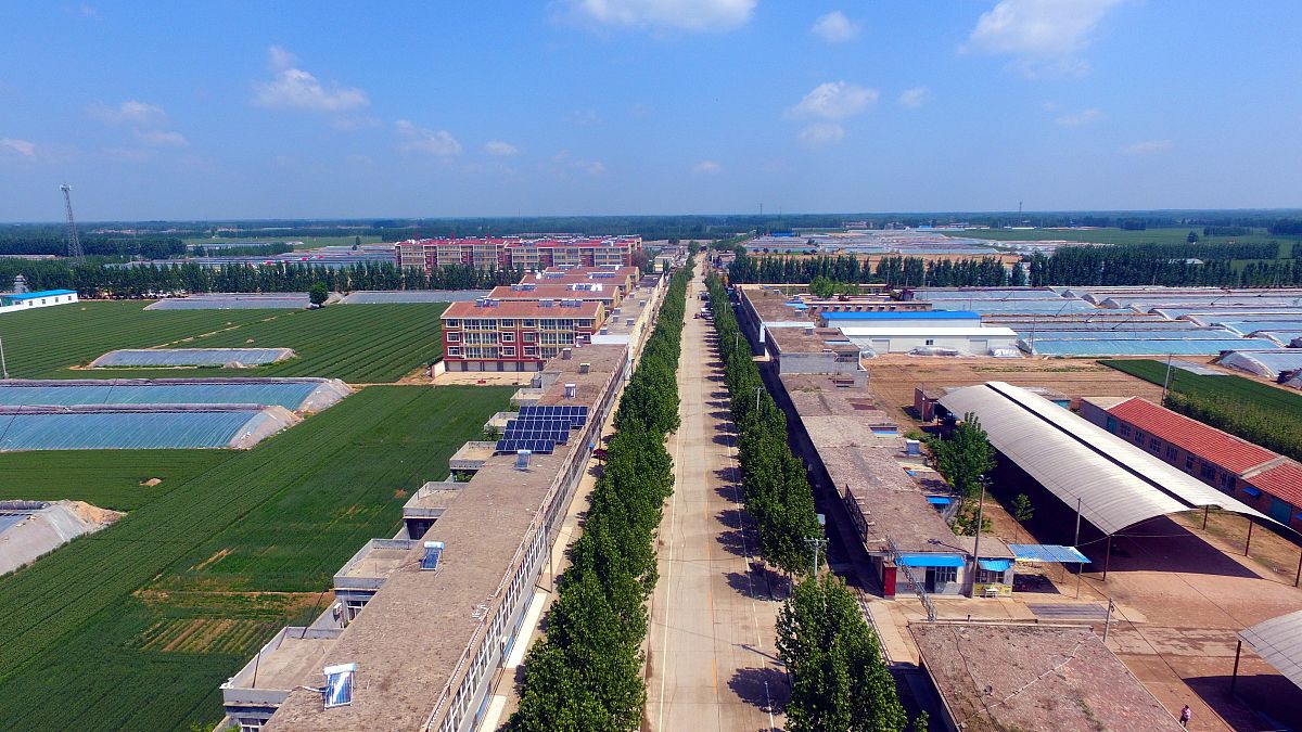 广饶县经济社会发展趋势分析：转型升级、人口优化、生态保护、教育文化发展