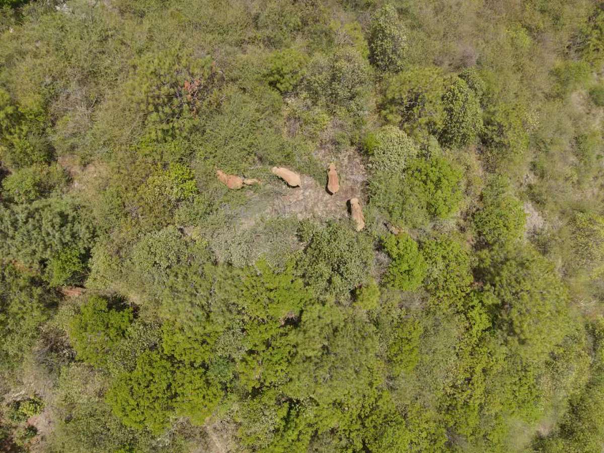 出生于1971年11月19日4点 用紫微斗数算下财运