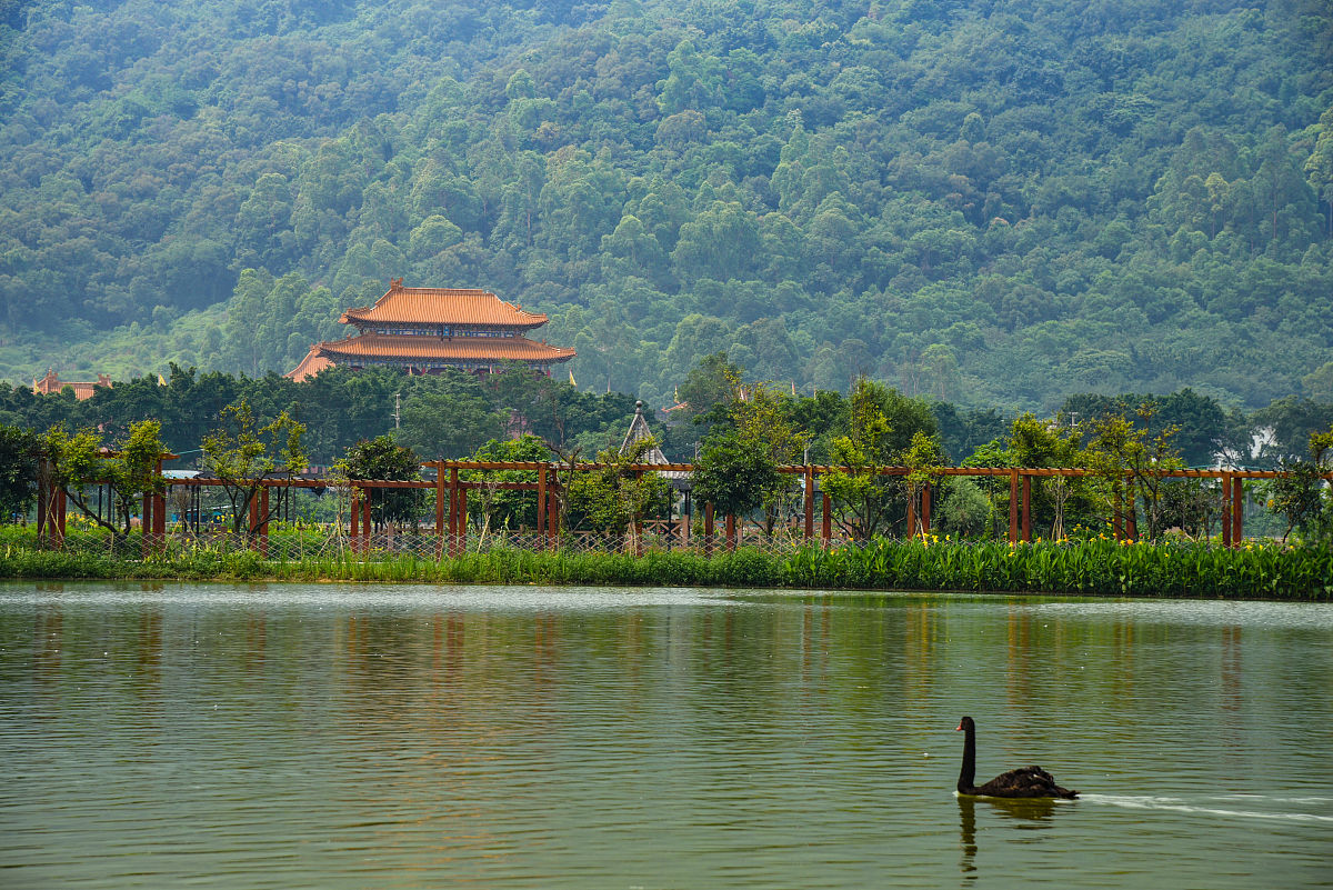 佛山张槎位置 - 广东省佛山市南海区