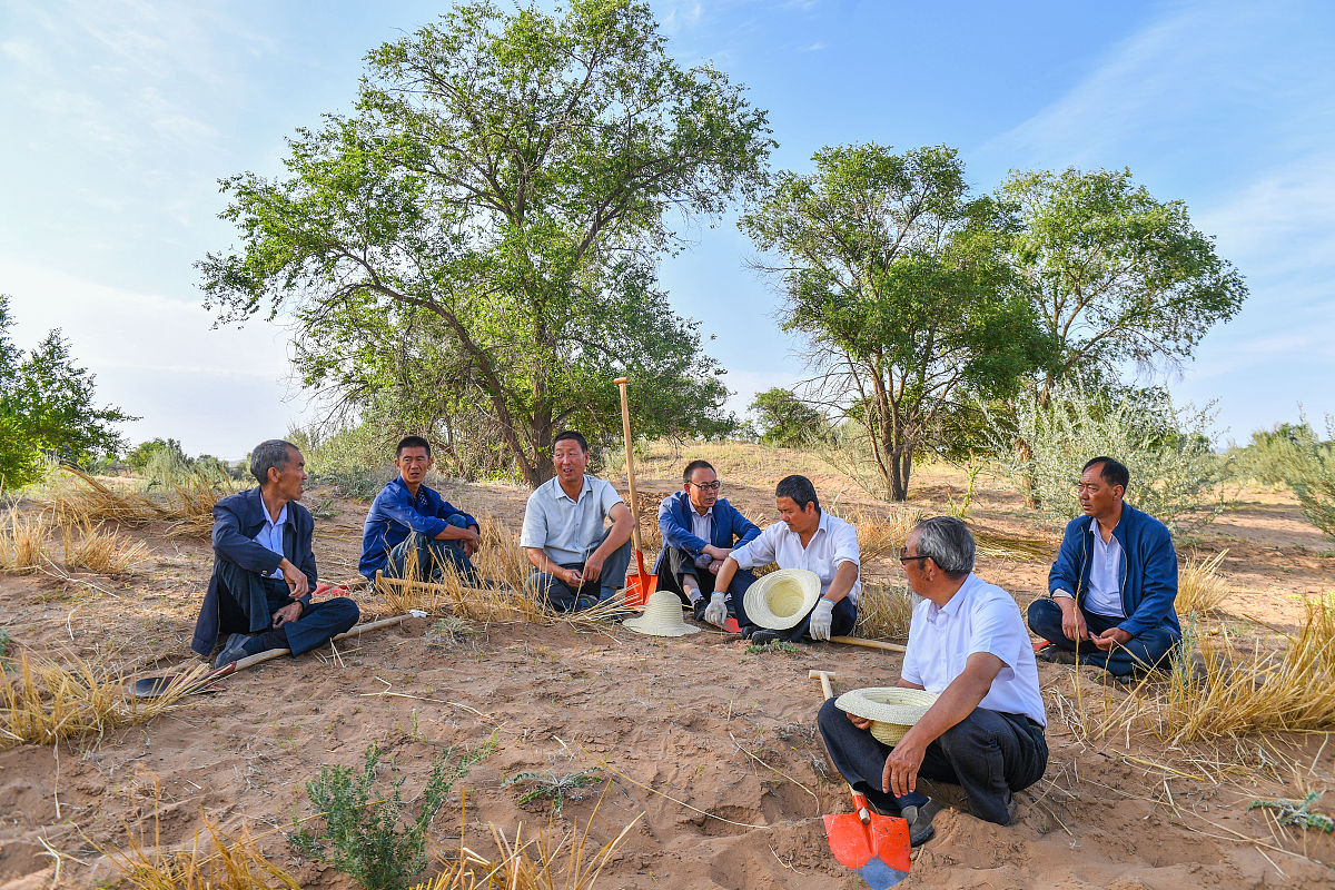 治沙英雄还是治沙骗子？孙国友“万亩林场”骗局揭秘