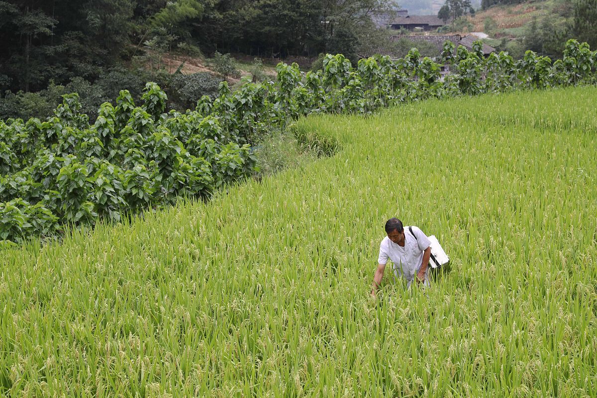 重庆知行卫生学校、护理专业招生