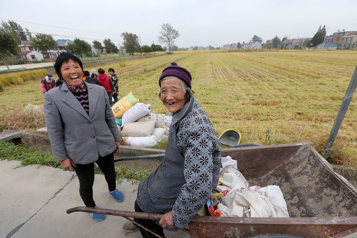   2015年11月4日,江苏南通,周建兰(左)和母亲在"全托管"的田边笑容满