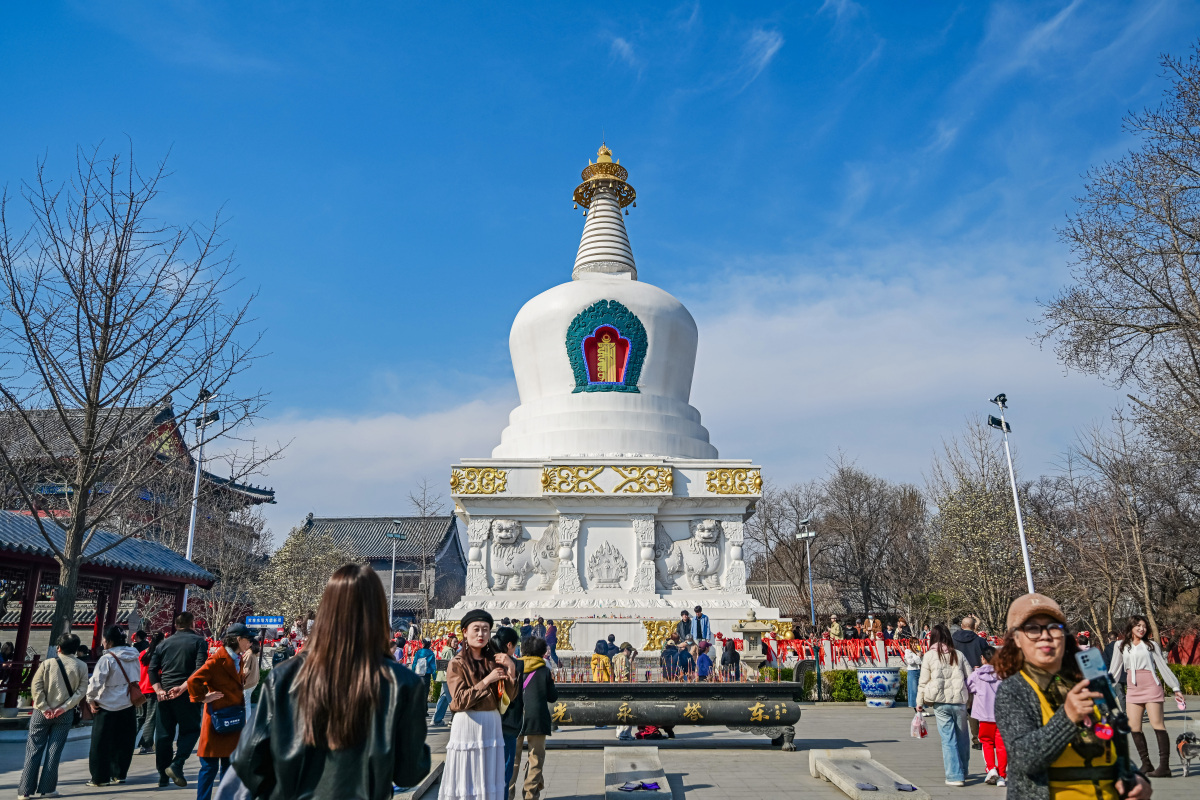 2026年3月31日,辽宁沈阳,东塔永光寺玉兰花纷纷绽放,