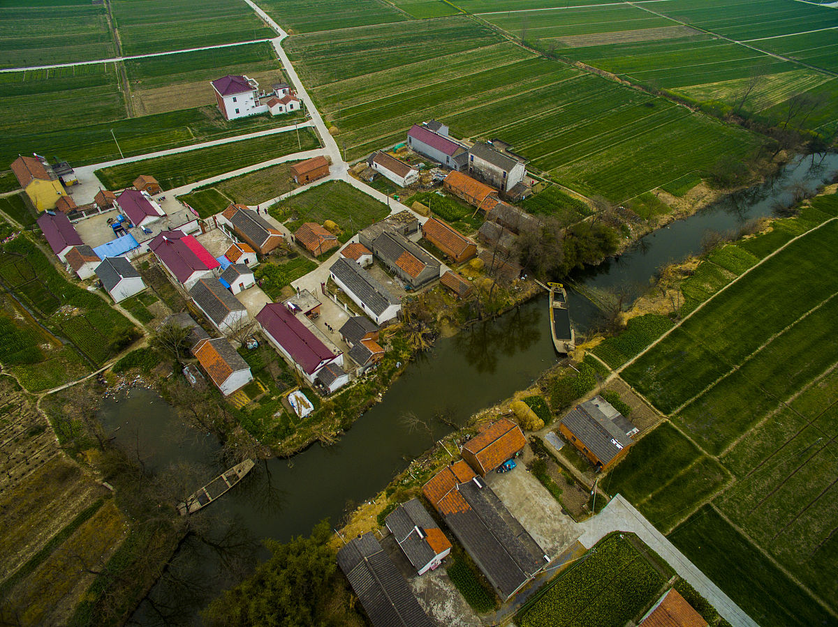 赞美春天：一首充满生机的诗歌