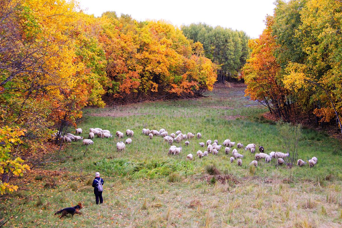 黑龙江农垦科技职业学院市场营销专业优势怎么样发展前景好不好呢