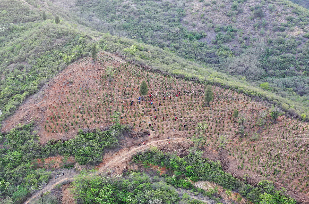 请围绕灌阳县反映砂糖桔果园弃管问题需要引起重视报送信息一则。从农业产
