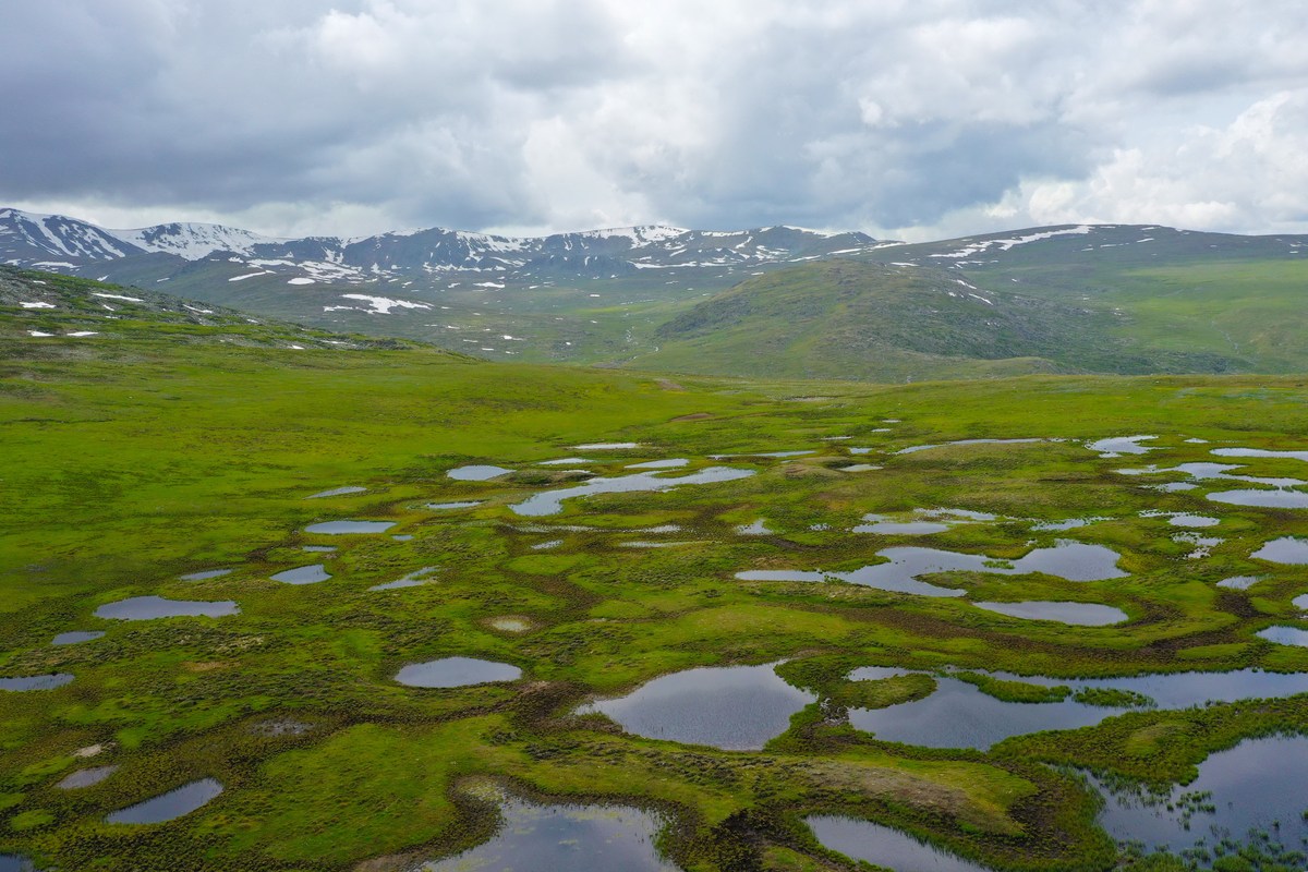 简述草甸和草原的区别