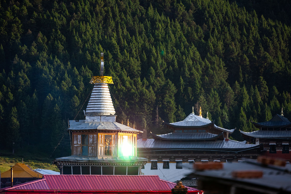 四川烹饪高等专科学校2019+文化市场经营与管理专业招生