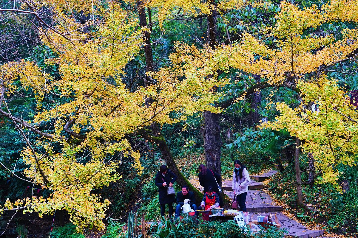 2020年贵州盘州职业技术学校招生简章