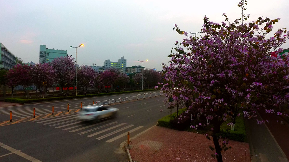 广西城市职业学校单招2023年招生简章 | 报名条件、时间、考试内容
