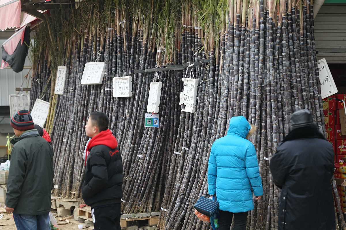 推断统计：从样本数据推断总体特征