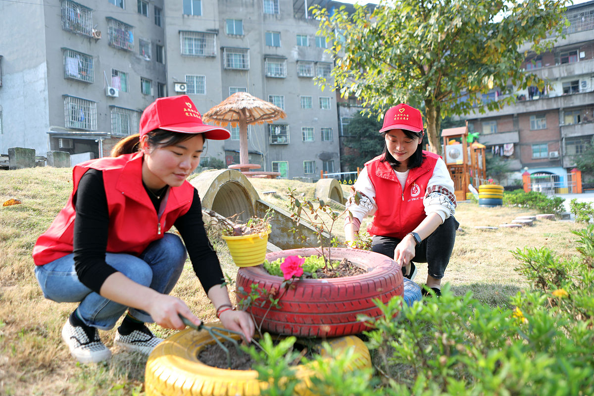 小区搬花盆活动内容、体会以及评价