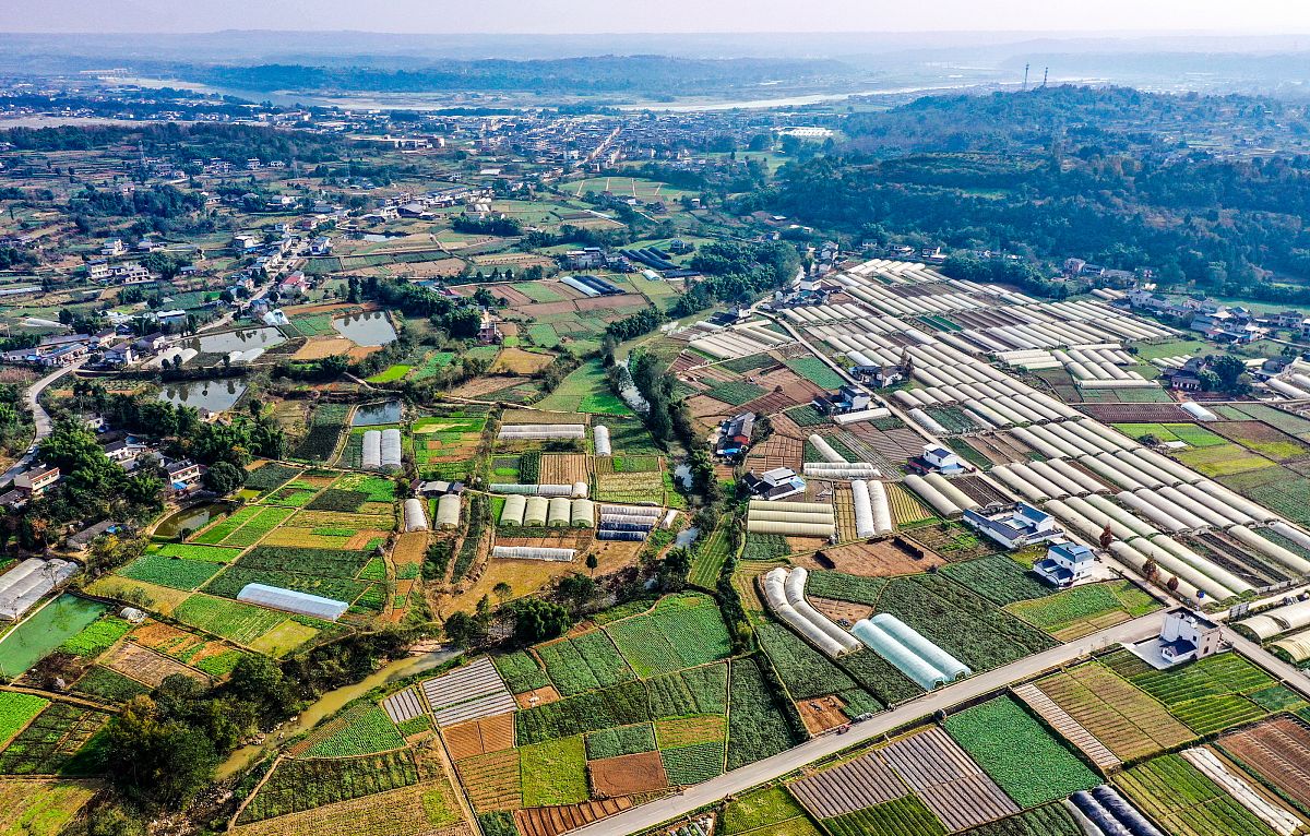 江油市职业中学校招生办联系电话和地址 - 报名咨询