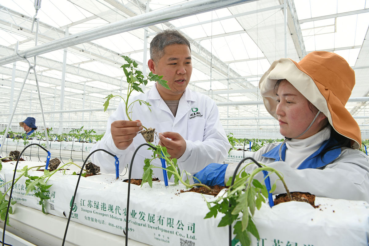 安徽兴鹏科技学校2021年招生简章