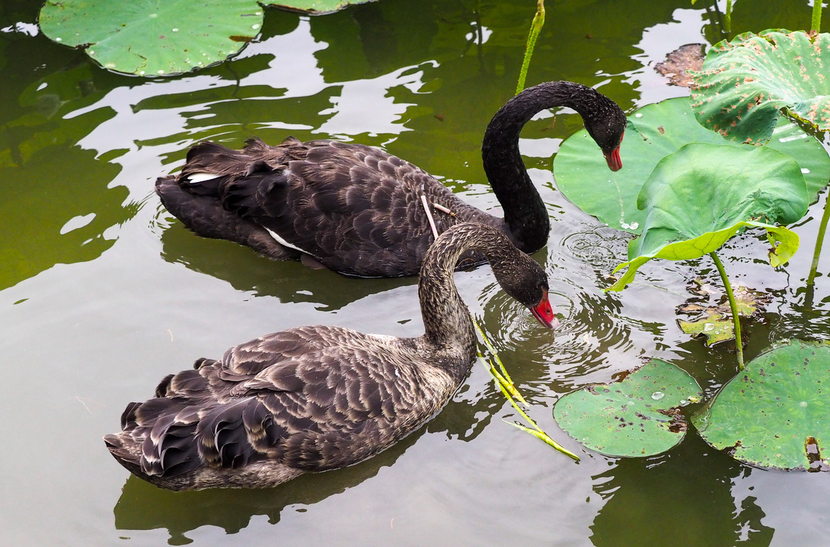 山东2023年哪些铁路学校比较好