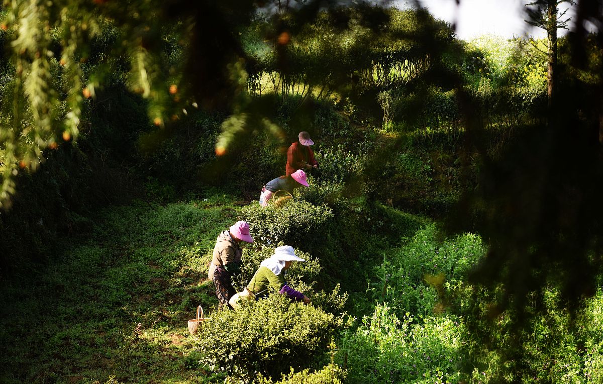 2019年重庆工程职业技术学院单招成绩查询 - 录取通知书查询入口