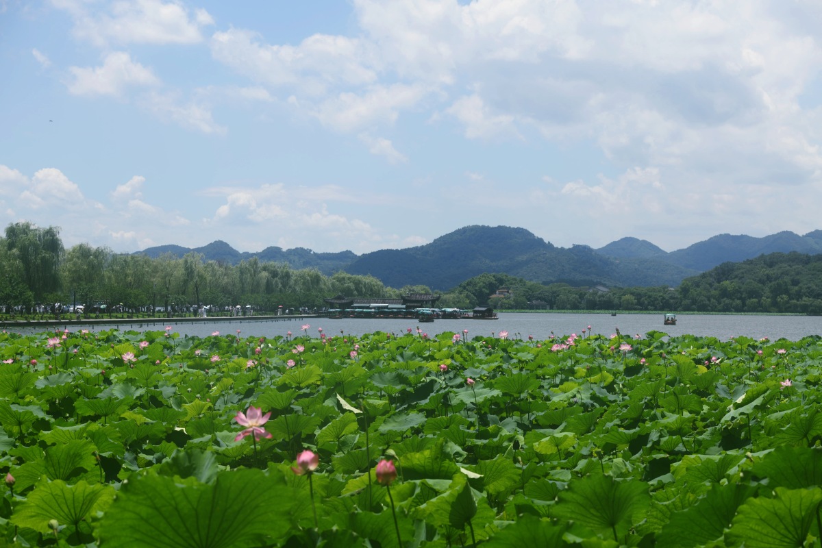 河南幸程星旅:关于浙江附近旅游景点推荐线上攻略