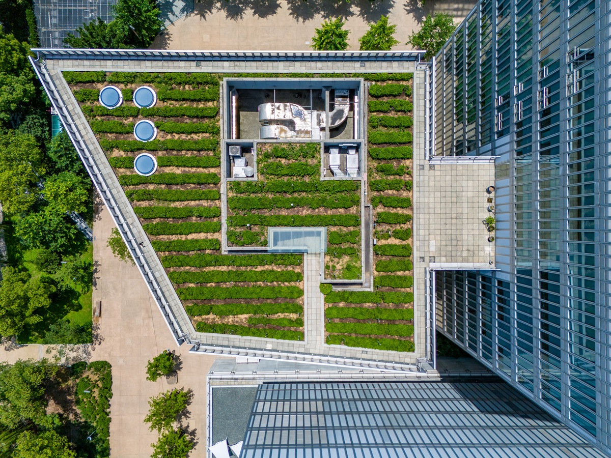 生态可持续性与空气质量改善：综合医院景观设计创新研究