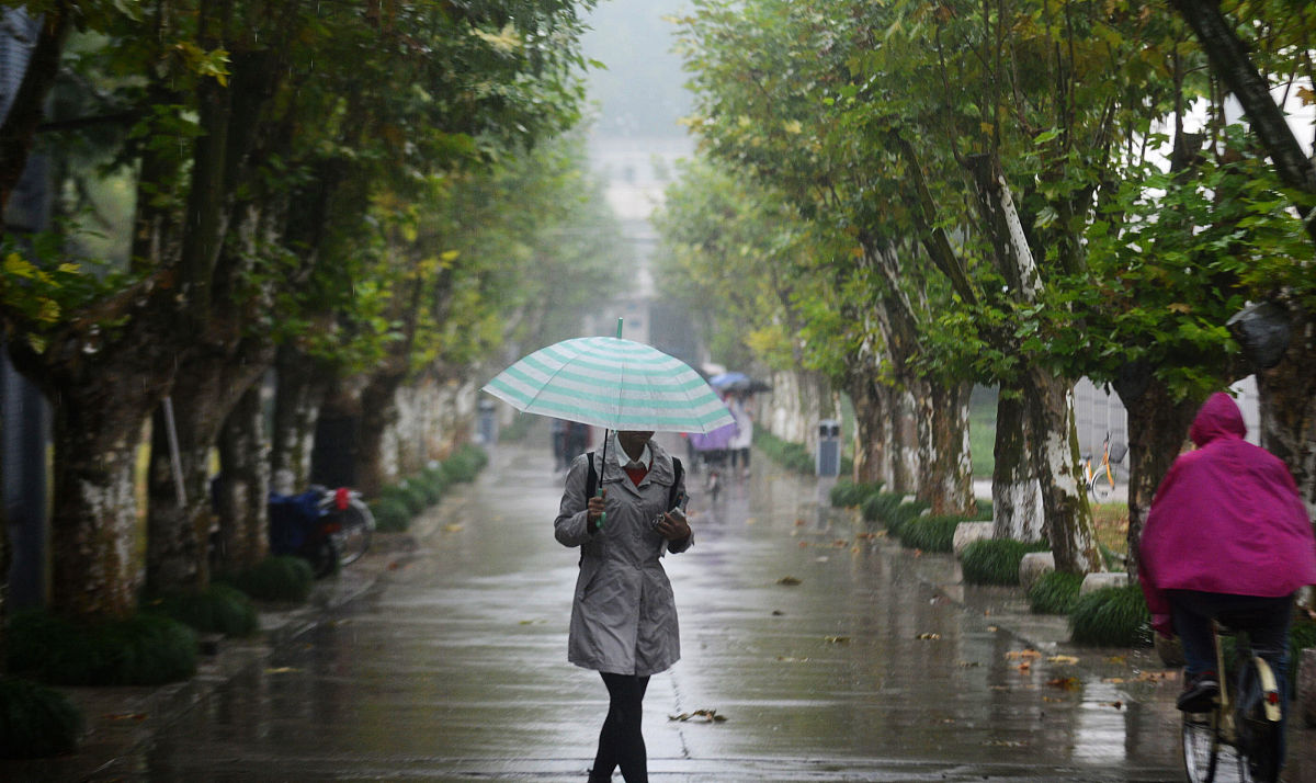 下雨天带伞的诗意提醒：清明时节雨纷纷，下一句怎么写？