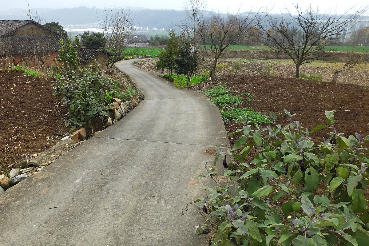 中国乡村纪实：《走在乡间的大路上》 - 深度探讨农民问题与乡村振兴