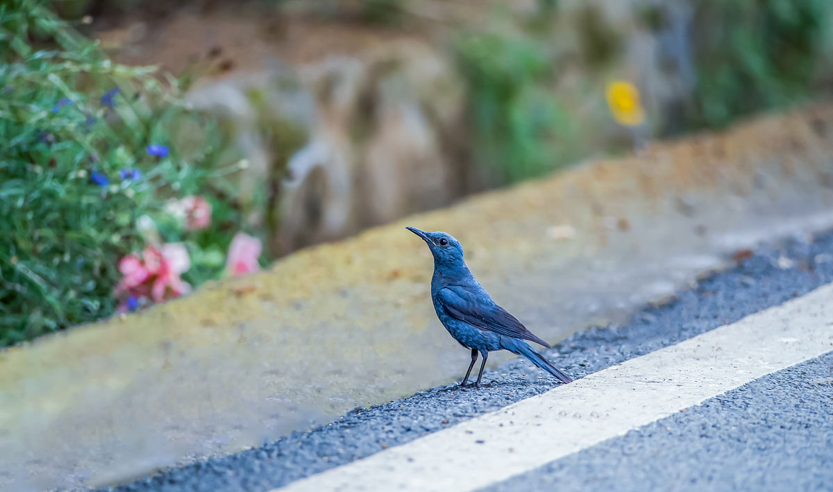 重庆资源与环境保护职业学院社区康复专业就业方向有哪些