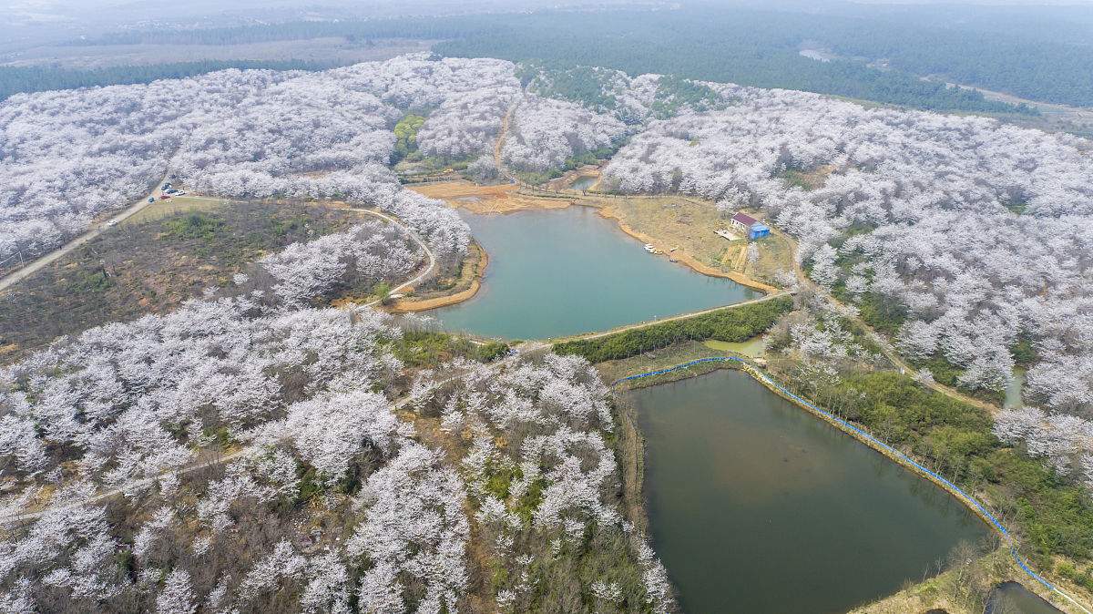 2022宣城旅游学校招生简章