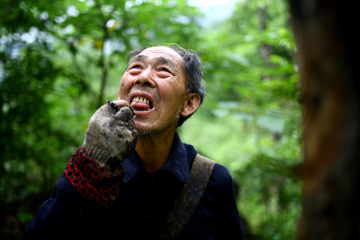 从外貌上看,刘照元完全不像年近七旬的老人,"生漆是好东西,吃了也对身