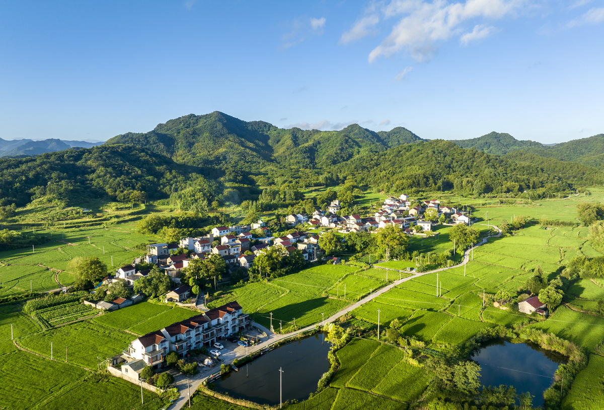 乡村振兴战略的总目标是到本世纪中叶基本实现农业农村现代化建设美丽乡村让农业成为有奔头的产业让农民成为体面的职业让农村成为安居乐业的家园。习近平总书记指出：乡村振兴战略是党的十九大提出的一项重大战略是关系全面建设社会主义现代化国家的全局性、历史性任务是新时代三农工作总抓手。？ 西安科技大学同心筑梦‘乡’见未来乡村振兴实践团调研团队以聚焦合阳县特色农产品种植助力乡村振兴发展为主题开展大学生暑期社会实践