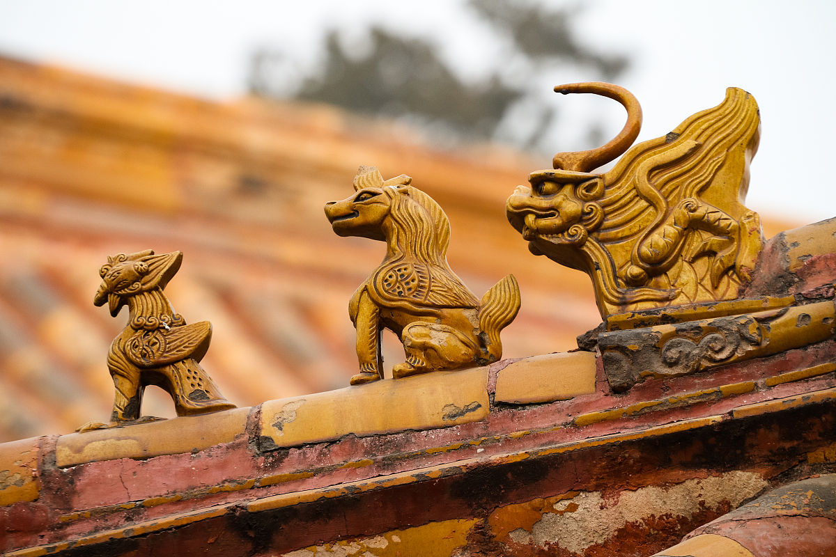 五脊六兽指什么动物，