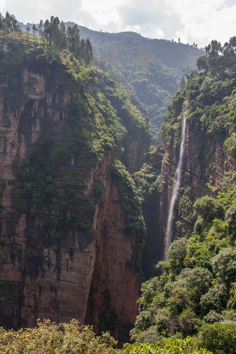 楚雄医药高等专科学校怎么样_学校地址在哪里